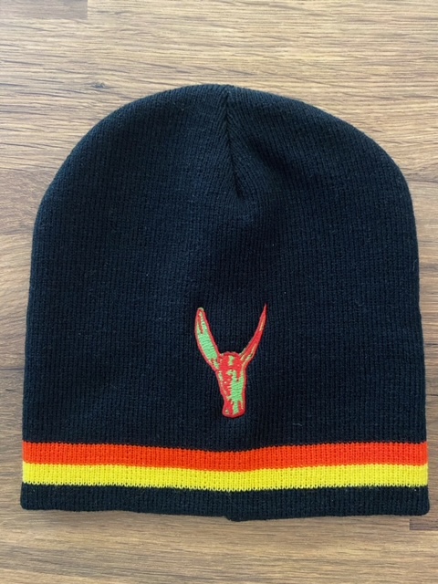 navy beanie with puma logo and black and red striping